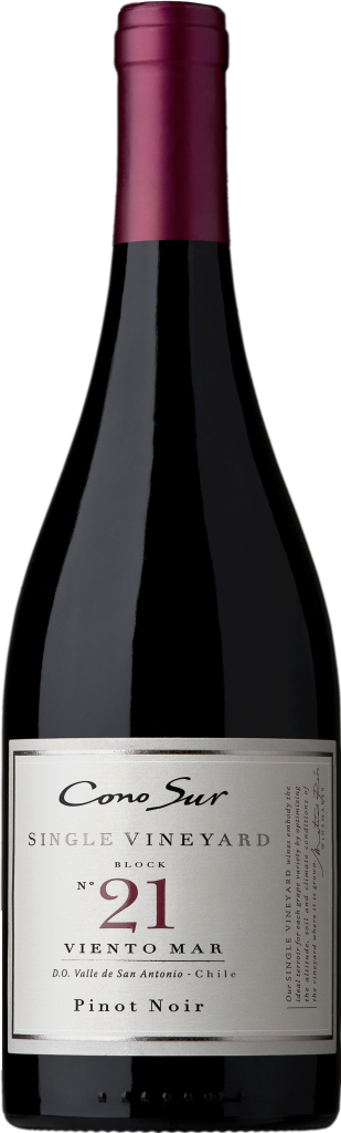 Cono Sur Single Vineyard Block 21 Pinot Noir
