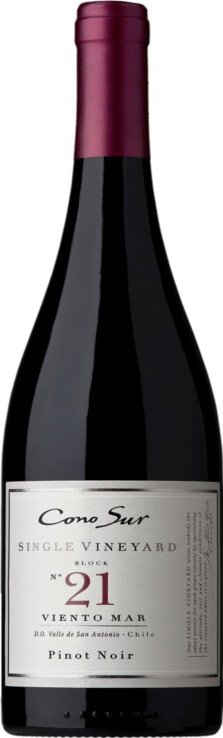 Cono Sur Single Vineyard Block 21 Pinot Noir